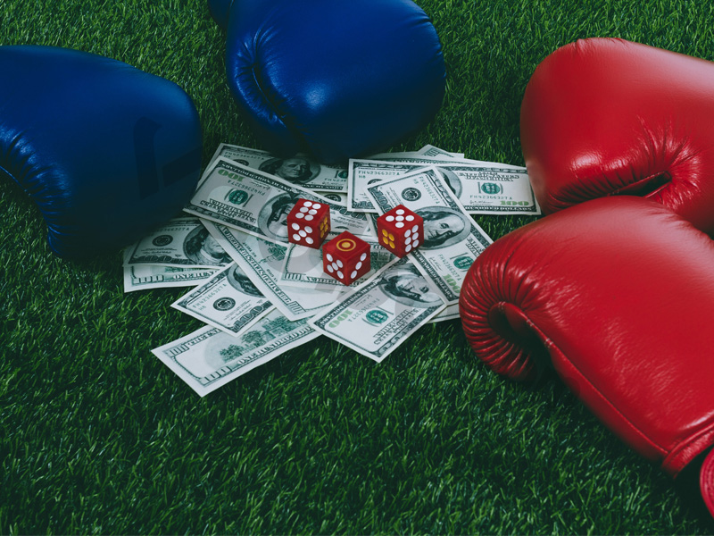 Cá cược Boxing trực tuyến có khó không?
